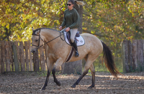 HorseID: 2306778 Hook Line and Sinker - PhotoID: 1090538