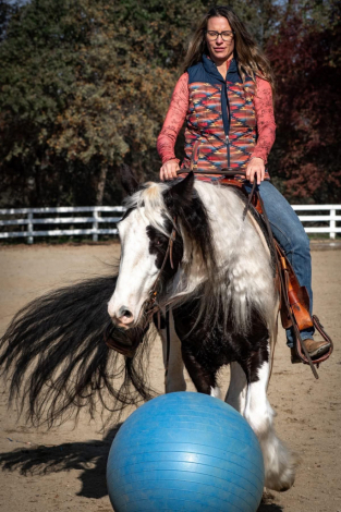 HorseID: 2306780 HV SEA JEWELS ORI - PhotoID: 1090541