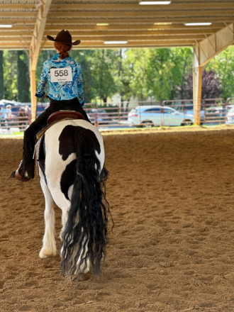 HorseID: 2306780 HV SEA JEWELS ORI - PhotoID: 1090543