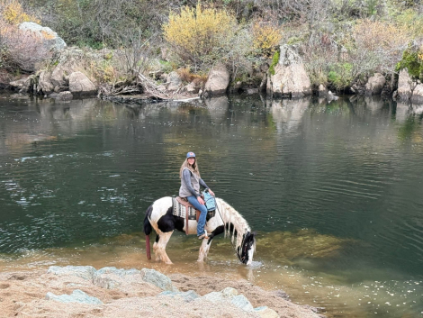 HorseID: 2306780 HV SEA JEWELS ORI - PhotoID: 1090544