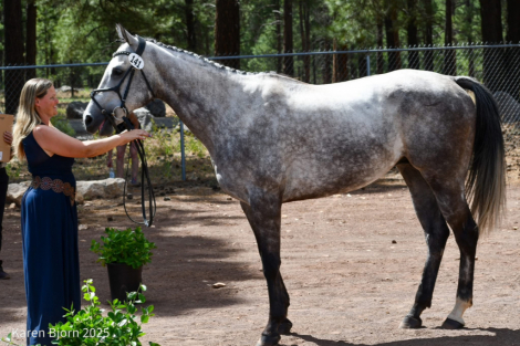 HorseID: 2306795 Tokyo Ghoul - PhotoID: 1090554