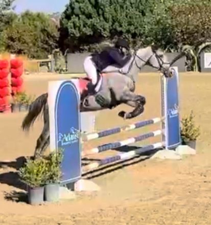 HorseID: 2306795 Tokyo Ghoul - PhotoID: 1090555