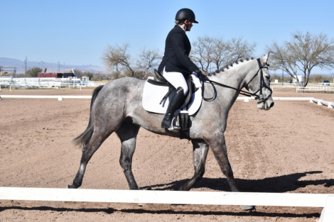 HorseID: 2306795 Tokyo Ghoul - PhotoID: 1090556