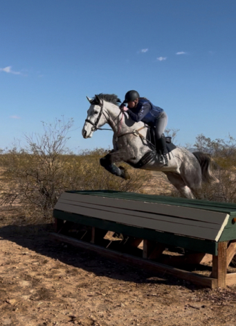 HorseID: 2306795 Tokyo Ghoul - PhotoID: 1090557