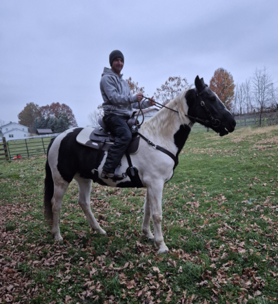 HorseID: 2306799 Bell - PhotoID: 1090811