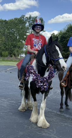 HorseID: 2306818 Mount Christie Jewel Crown - PhotoID: 1090581