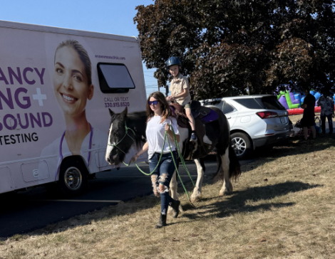 HorseID: 2306818 Mount Christie Jewel Crown - PhotoID: 1090582