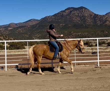 HorseID: 2306825 Journey - PhotoID: 1090588