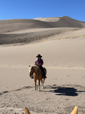 HorseID: 2306825 Journey - PhotoID: 1090591