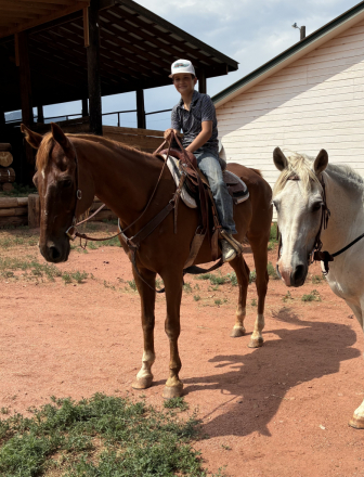 HorseID: 2306826 Ollie - PhotoID: 1090592