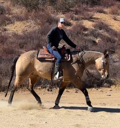 HorseID: 2306832 Queen Of Sparks - PhotoID: 1090598