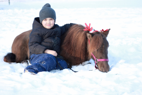 HorseID: 2306848 Mocha - PhotoID: 1090613