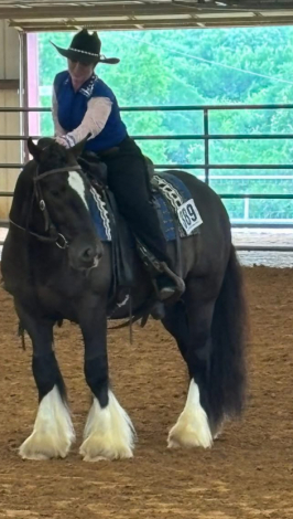 HorseID: 2306860 Briar Rose Eugene - PhotoID: 1090631