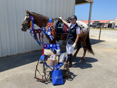 HorseID: 2306903 Sorcerer's Apprentice - PhotoID: 1090672