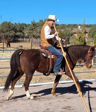 HorseID: 2306906 JAF Calico Treasure - PhotoID: 1091287