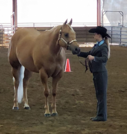 HorseID: 2306908 Ima Sinful Secret - PhotoID: 1090700