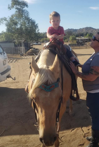 HorseID: 2306908 Ima Sinful Secret - PhotoID: 1090702