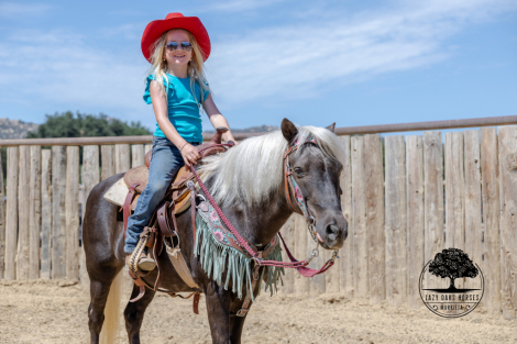 HorseID: 2306918 HUCKLEBERRY - PhotoID: 1090681