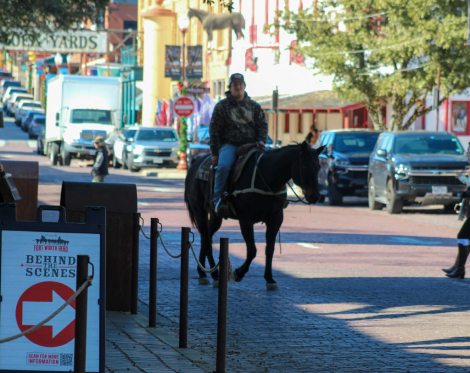 HorseID: 2306939 Dollar M$ - PhotoID: 1090745