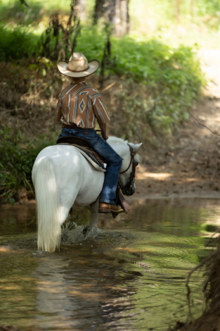 HorseID: 2306951 Potato - PhotoID: 1090719