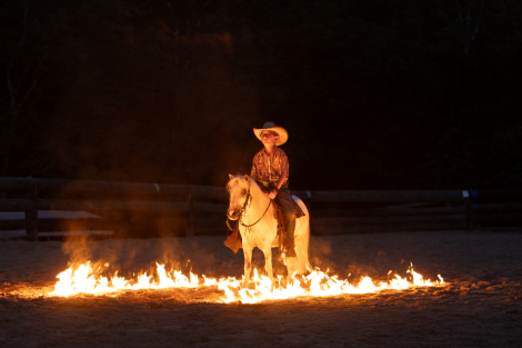 HorseID: 2306951 Potato - PhotoID: 1090720