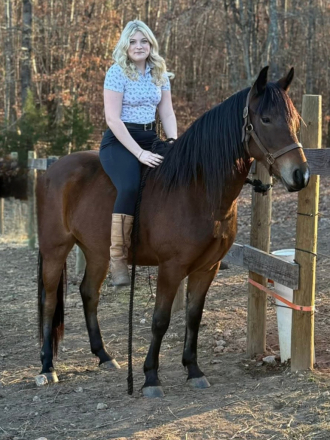 HorseID: 2306963 DSR Startin Riots - PhotoID: 1090758