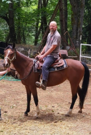 HorseID: 2306977 blondiesea@yahoo.com - PhotoID: 1090770