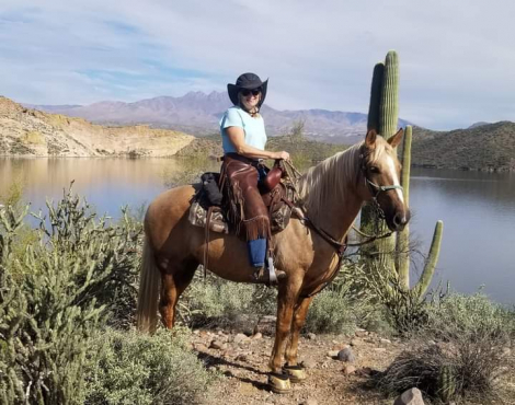 HorseID: 2306978 Gold Dutchess - PhotoID: 1090771