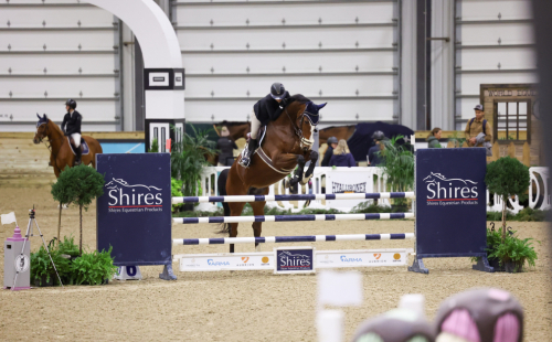 HorseID: 2306993 Jota-E Baloon - PhotoID: 1090795