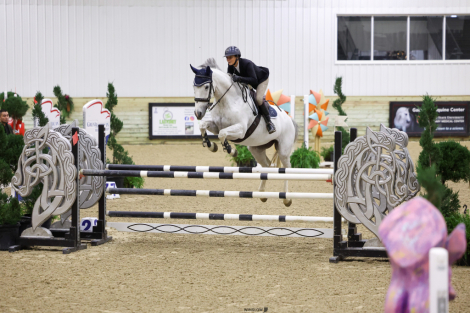 HorseID: 2306995 Savannah - PhotoID: 1090801