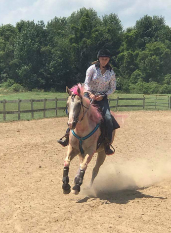 HorseID: 2307000 Playboys Blonde - PhotoID: 1090812