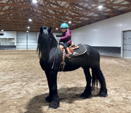 HorseID: 2307007 Cassius - PhotoID: 1090817