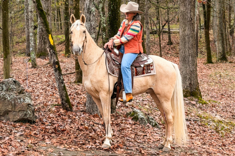 HorseID: 2307010 Cooper - PhotoID: 1090821