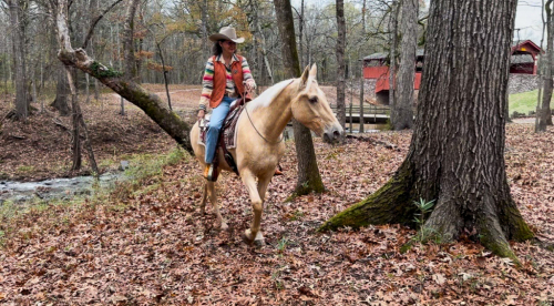 HorseID: 2307010 Cooper - PhotoID: 1090824