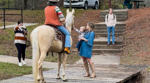 HorseID: 2307010 Cooper - PhotoID: 1090825