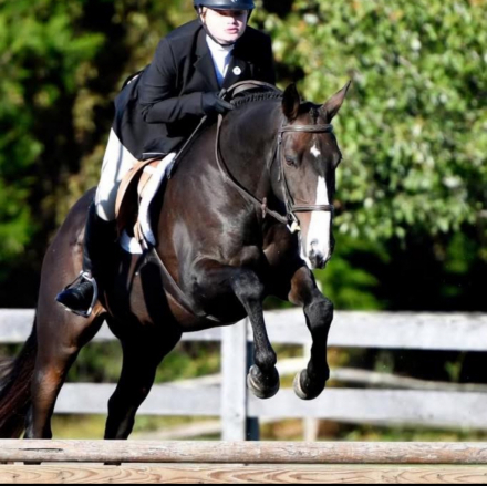 HorseID: 2307016 Outtamyway Please - PhotoID: 1090895