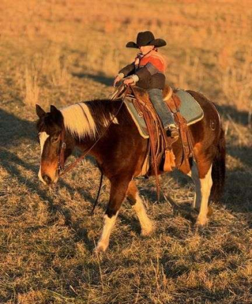 HorseID: 2307042 Rambo - PhotoID: 1090858