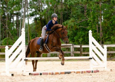 HorseID: 2307047 Duke - PhotoID: 1090874