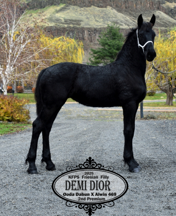 HorseID: 2307060 Demi Dior - PhotoID: 1090899