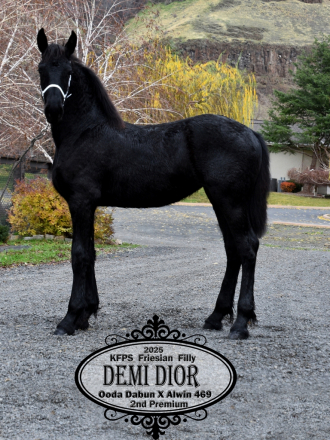 HorseID: 2307060 Demi Dior - PhotoID: 1090900