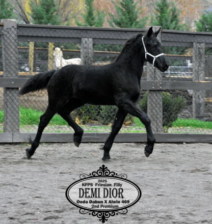 HorseID: 2307060 Demi Dior - PhotoID: 1090902