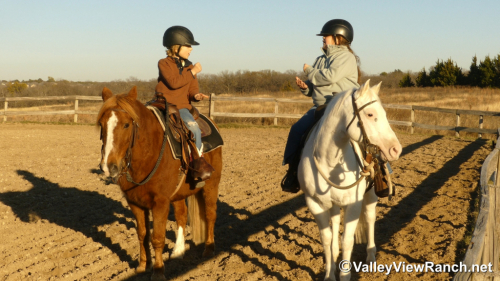 HorseID: 2307070 Silver - PhotoID: 1090917