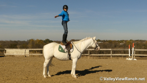 HorseID: 2307070 Silver - PhotoID: 1090919