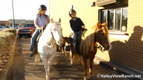 HorseID: 2307070 Silver - PhotoID: 1090920