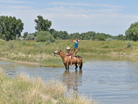 HorseID: 2307074 JC Rey - PhotoID: 1090932