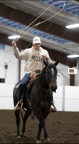 HorseID: 2307107 Lonnie Blu - PhotoID: 1090962