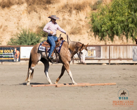 HorseID: 2307117 Wood u look at that - PhotoID: 1090971