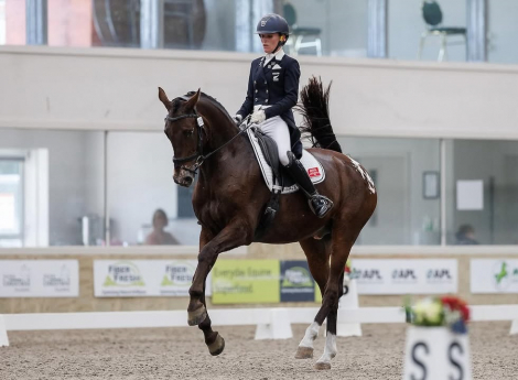 HorseID: 2307126 Vancur - PhotoID: 1090992