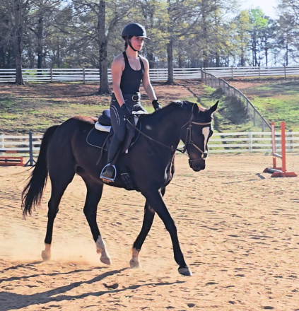 HorseID: 2307132 Black Diamond Rain - PhotoID: 1091005