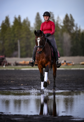 HorseID: 2307143 Sieger Boy - PhotoID: 1091159